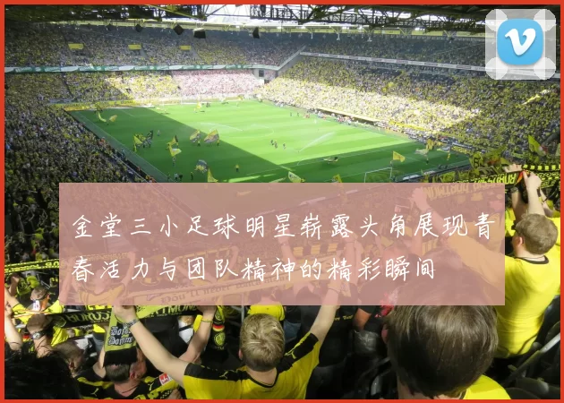 金堂三小足球明星崭露头角展现青春活力与团队精神的精彩瞬间