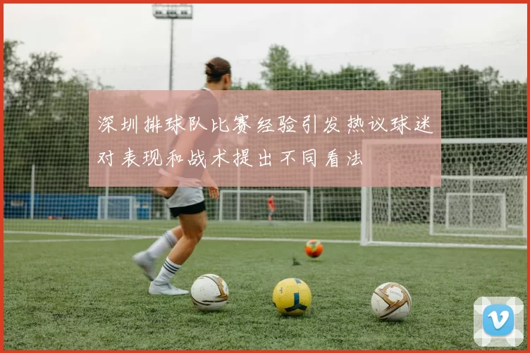 深圳排球队比赛经验引发热议球迷对表现和战术提出不同看法