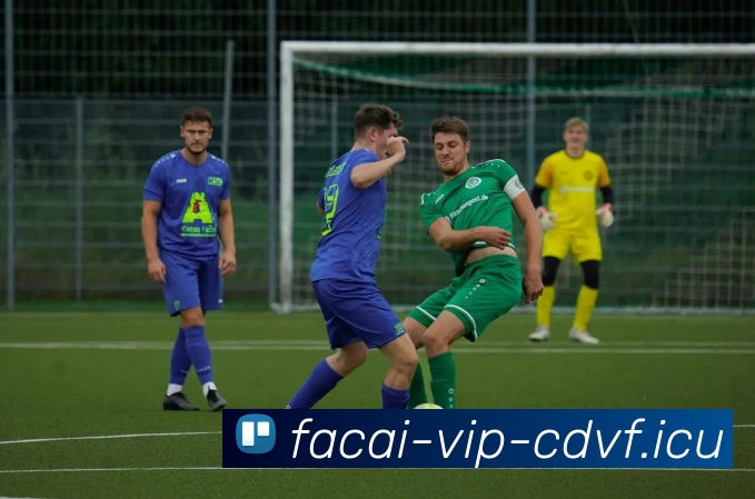 华体会体育注册发展历程